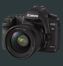 Canon EOS 5D Mk II Pic