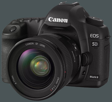Canon EOS 5D Mk II gro