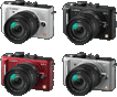 Panasonic DMC-GF1 x mini