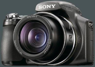 Sony Cyber-shot DSC-HX1 gro
