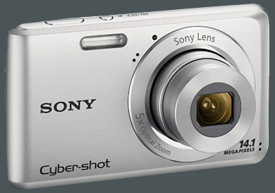 Sony Cyber-shot DSC-W520 gro